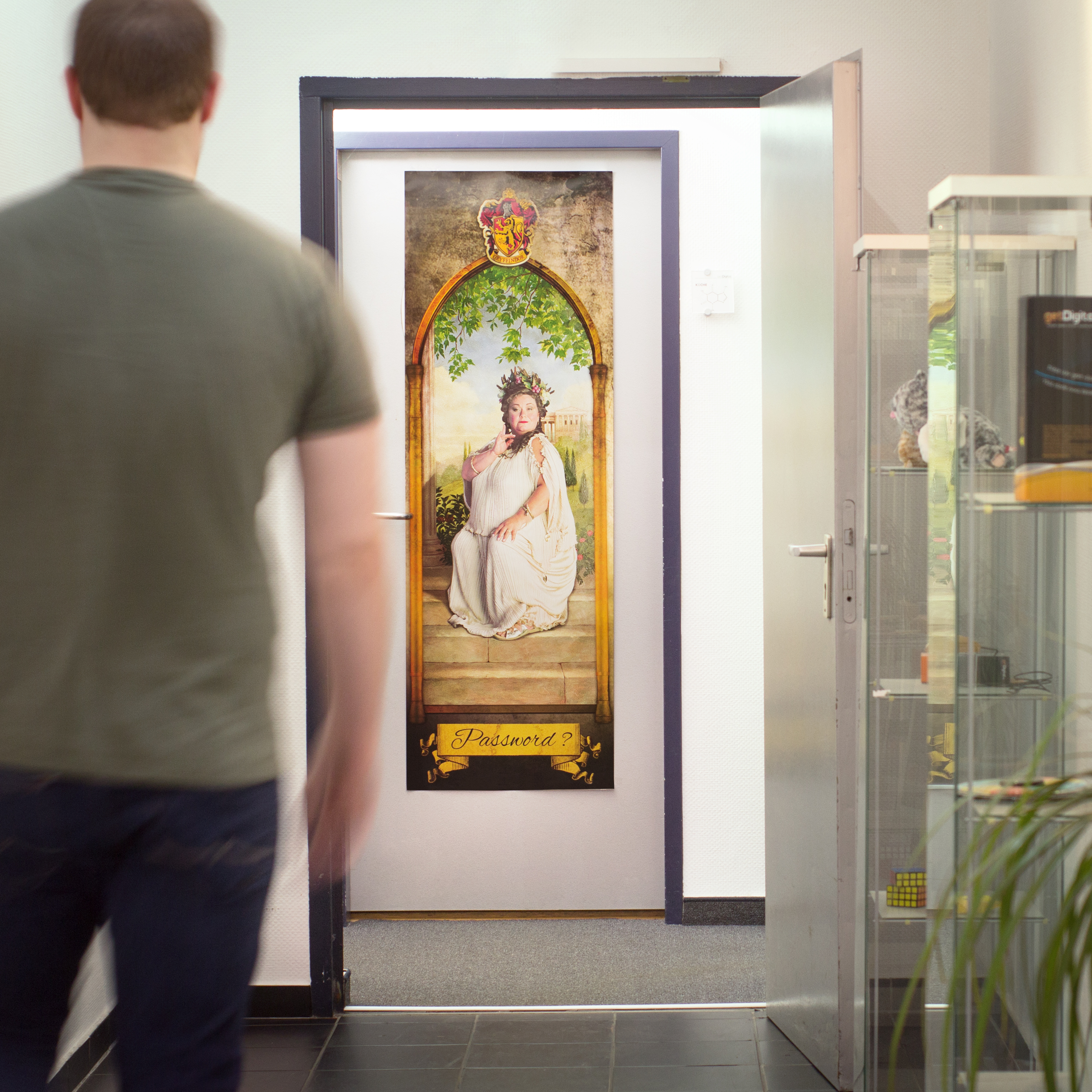 Harry Potter Türposter Die fette Dame