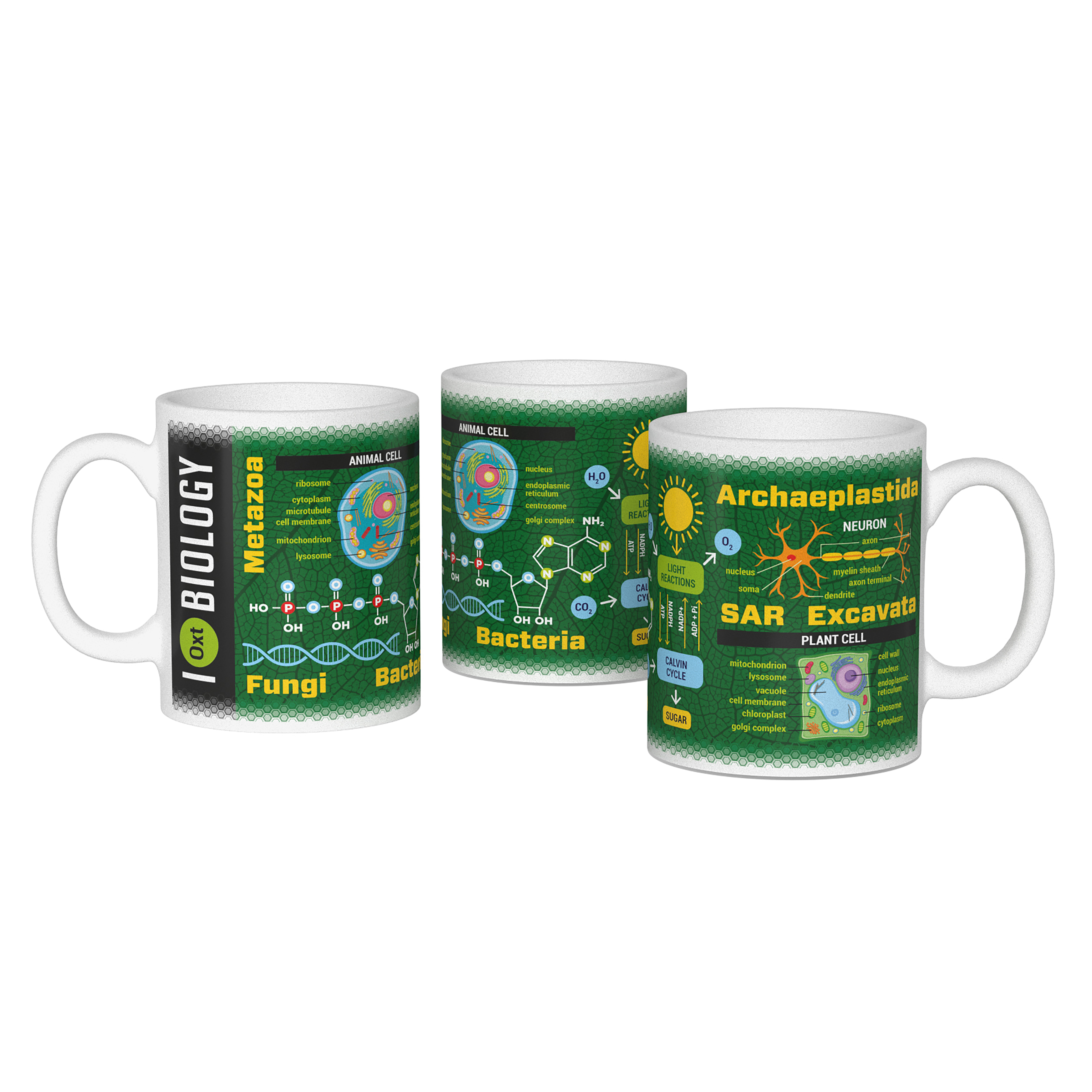 Wissenschaftsbecher Biologie