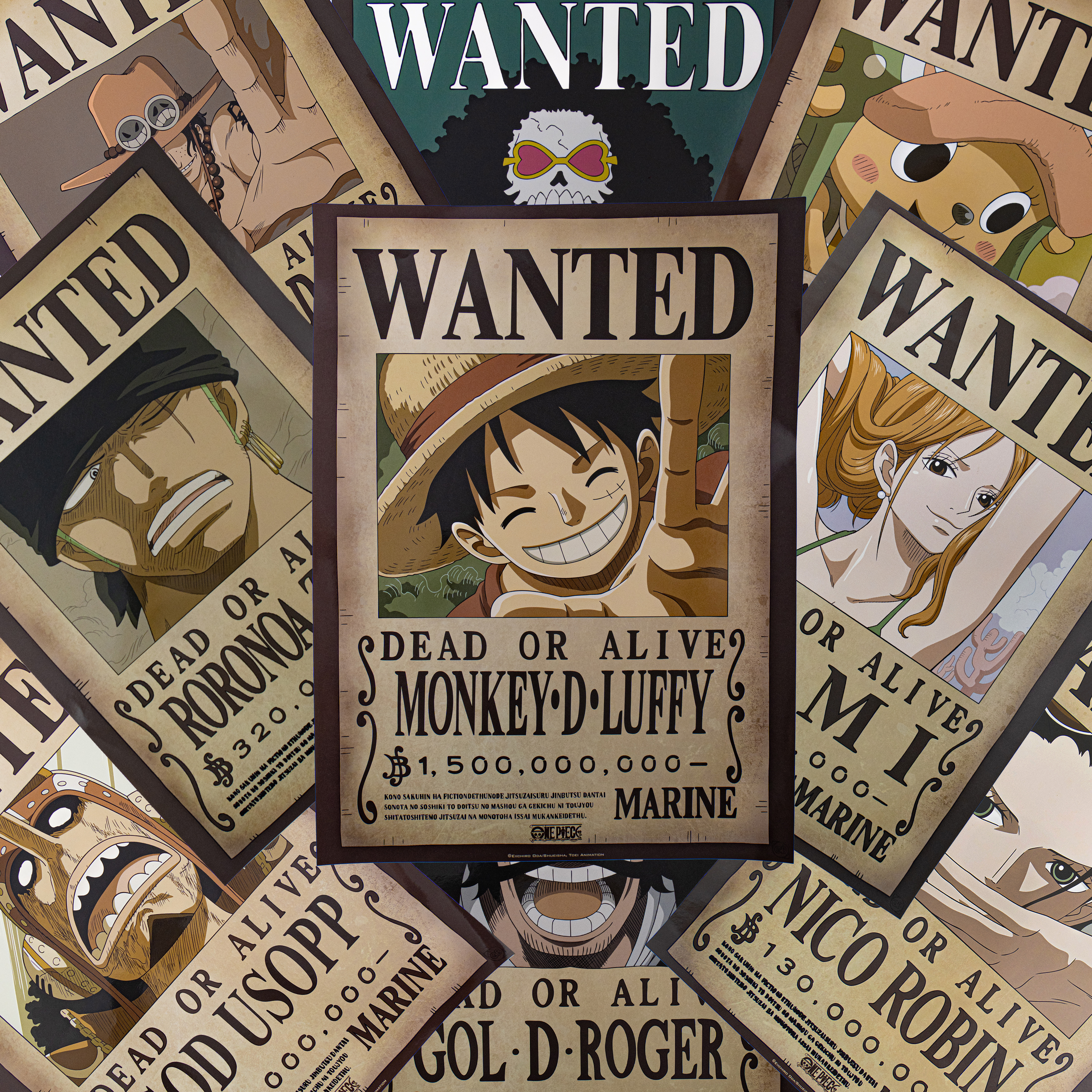 One Piece Wanted Poster