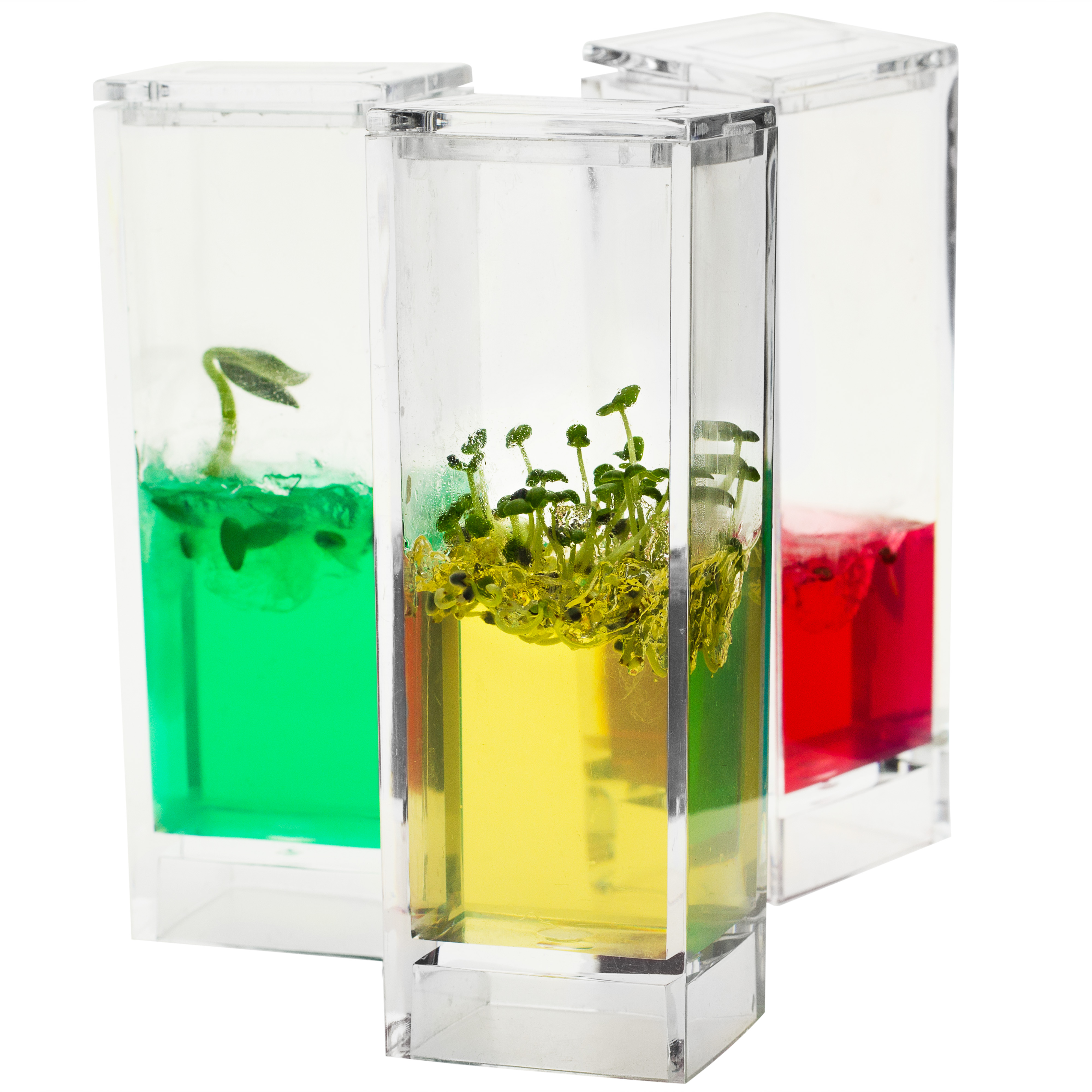 Plantarium Garden Lab